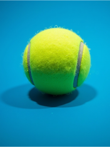 Gestión Deportiva